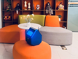 手提式恶臭气体剖析仪